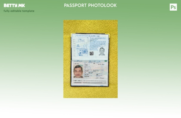 Модерен стил за естонски пасош прикачен шаблон за фото изглед